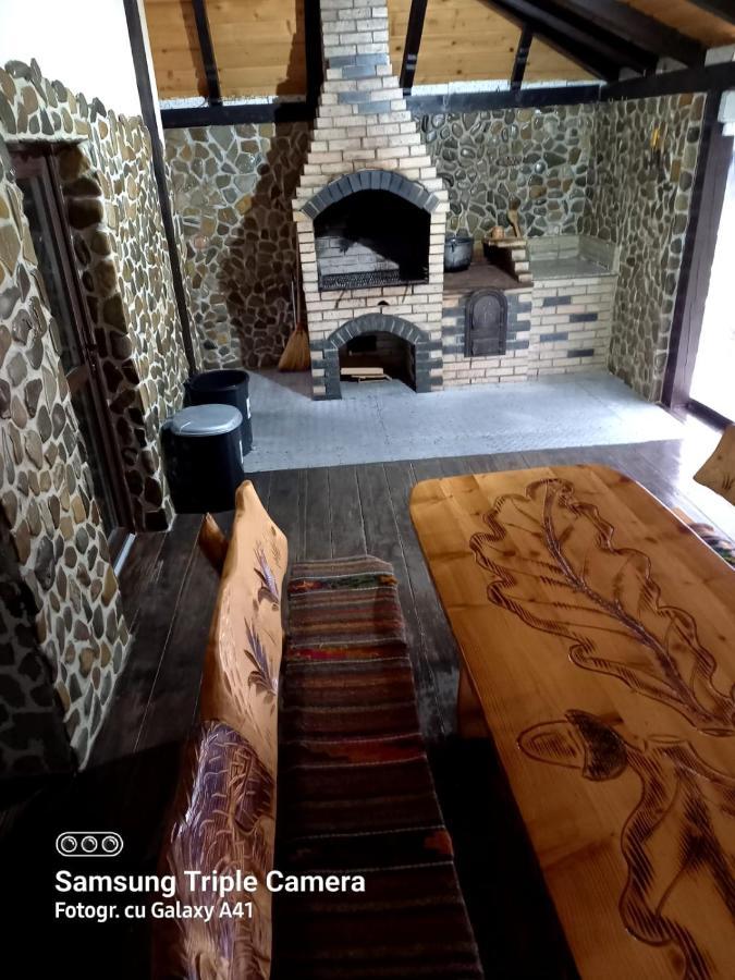 Cabana Ioana Воронец Экстерьер фото